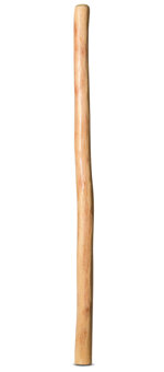 Natural Finish Didgeridoo (TW711)